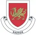 Radnor house badge