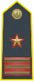 Sub-lieutenant (Ispettore - Luogotenente) (Chief Warrant Officer 5); commands Lieutenant Units (Stations).