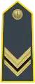 Vice Brigadier (Sovrintendenti - Vice Brigadiere) (Sergeant)
