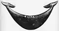 A large (61&nbsp;cm) reimiro with very stylized faces. It may be that pectorals of this size were worn by men.
