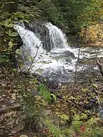 A side-view of falls upstream and a slide below and downstream; a large rock divides the falls. It is autumn, with leaves in various stages of color on the trees; some are green and others are orange or yellow. Fallen leaves cover many of the rocks along the stream.