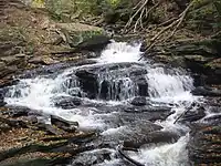 A slide falls with a large rock in the center of the stream dividing the falls to the left and right. A large flat-topped boulder is on the left bank in the center, and dead limbs reach down into the stream at top right. Fallen leaves cover many of the rocks along the stream.