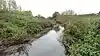 River Beam in Beam Valley Country Park