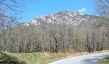 Photo shows a very rocky-looking mountain.