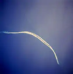 Island as seen from the Space Shuttle on April 1994. North is in the lower left corner.