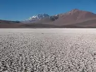 Llullaillaco from Salar de Aguas Calientes IV