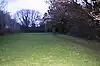 Sallowsprings