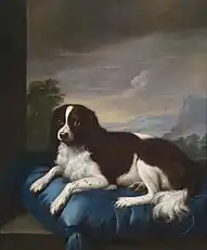 English Springer Spaniel from 1807