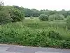 Scarning Fen