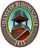 Official seal of Bloomingdale