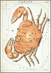 Plate 19: Cancer
