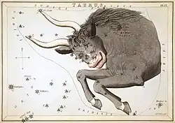 Plate 17: Taurus