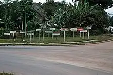 A road corner with a dozen individual signs each pointing in the same direction