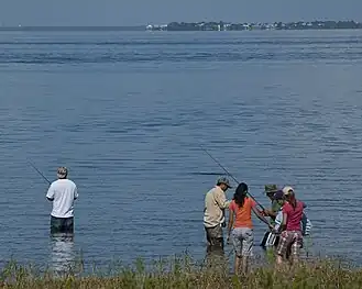 Six wading fishers