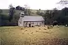 A simple single-storey church seen from a distance with a bellcote and a porch; sheep graze in front of it