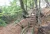 Stanton Woods