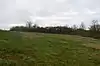 Stone SSSI