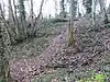 Sturry Pit