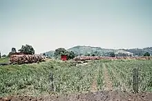 Agricultural field with hills beyond