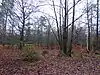 Swinley Park
