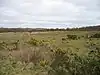 Syderstone Common