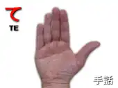 指文字: て TE