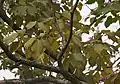 in Hyderabad, India.
