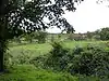 Terrace Hill Pasture