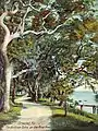 Bostrom Oaks in c.&nbsp;1908
