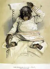 Sketch of the female orangutan known as Jenny sitting in a chair