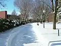 A pedestrian walkway on campus after a fresh snow storm