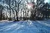 Thundersley Great Common