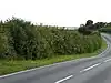 Tolethorpe Road Verges