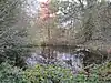 Pink Cottage Pond on Totteridge Common