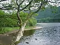 A loch in the Trossachs