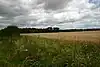 Trundley Wood