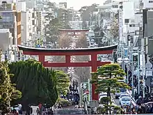 The sandō at Tsurugaoka Hachimangū, Kamakura