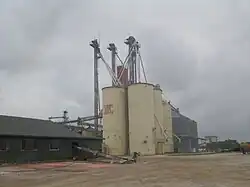 Tubbs Rice Grain in Pioneer