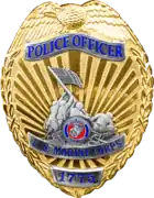 Military Police Badge