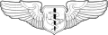 Flight Nurse Badge
