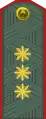 General-polkovnik(Uzbek Ground Forces)