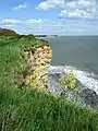 Valeways Millennium Heritage Trail