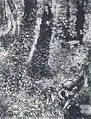 Ivy (Corner in the Garden of Saint-Paul Hospital), 1889, 92 × 72&nbsp;cm, Location unknown (F609)