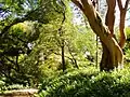 Wahiawā Botanical Garden