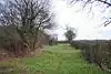 Westhall Wood