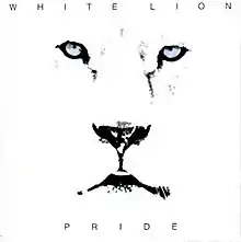 Etching of a lion's face in front of a white backdrop