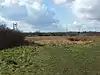  Woodham Fen