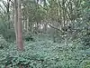 Woodridge Nature Reserve in Woodside Park