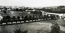 Some trees lining a baseball diamond