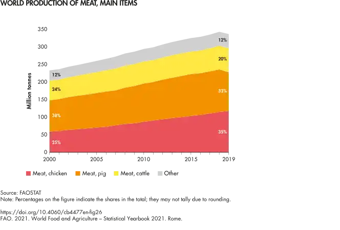 World production of meat, main items